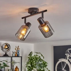 Aggebu Plafonnier Noir, 2 lumières