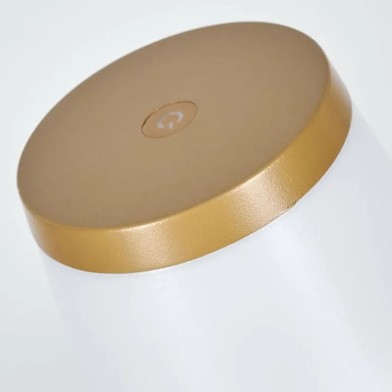 Algeraz Lampe de table d'extérieur, Lampe à poser LED Beige, 1 lumière