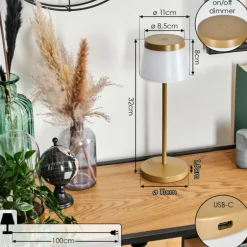 Algeraz Lampe de table d'extérieur, Lampe à poser LED Beige, 1 lumière