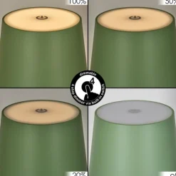 Allen Lampe de table d'extérieur, Lampe à poser LED Vert, 1 lumière