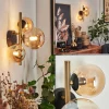 Applique murale Chehalis LED Laiton, Noir, 3 lumières