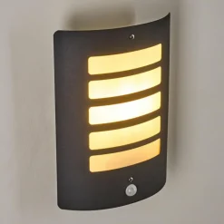 Applique murale d'extérieur Alslev Anthracite, 1 lumière, Détecteur de mouvement