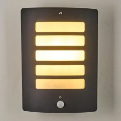 Applique murale d'extérieur Alslev Anthracite, 1 lumière, Détecteur de mouvement