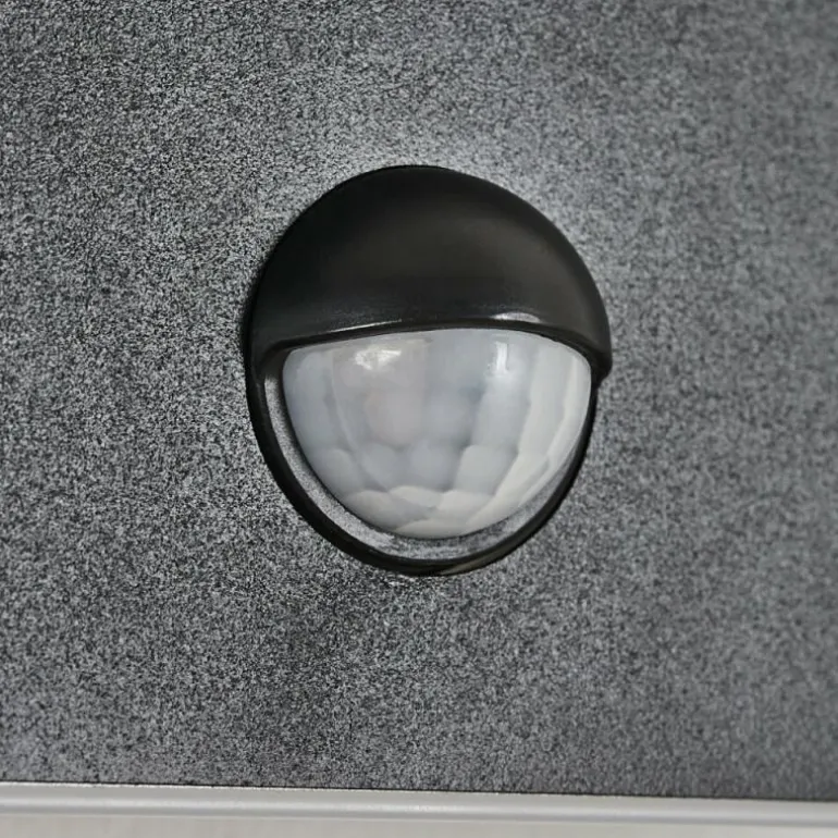 Applique murale d'extérieur Haga LED Noir, 1 lumière, Détecteur de mouvement
