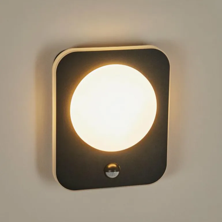 Applique murale d'extérieur Haga LED Noir, 1 lumière, Détecteur de mouvement