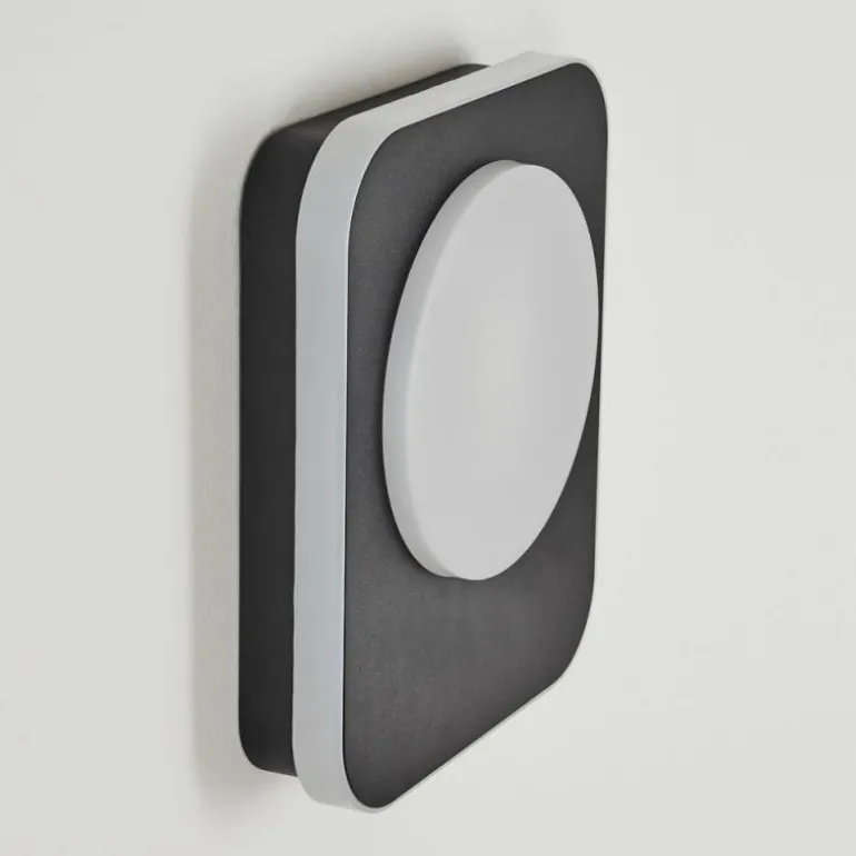 Applique murale d'extérieur Haga LED Noir, 1 lumière