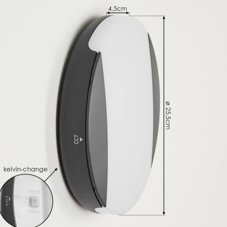Applique murale d'extérieur Joserand LED Anthracite, 1 lumière
