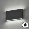 Applique murale Fischer & Honsel Scone LED Noir, 2 lumières