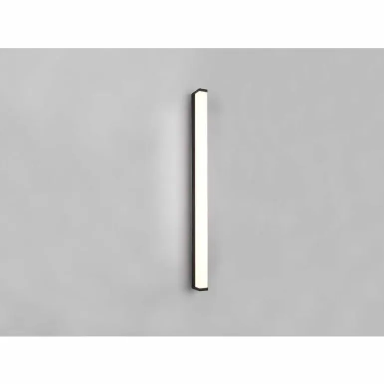 Applique murale Trio-Leuchten Fabio LED Noir, 1 lumière