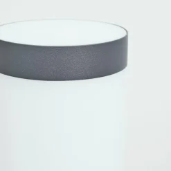 Borne lumineuse Sessa Anthracite, 1 lumière, Détecteur de mouvement