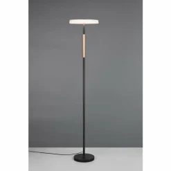 Celeste Lampadaire Luminaires Trio LED Brun, 1 lumière