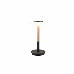 Celeste Lampe à poser Luminaires Trio LED Brun, 1 lumière