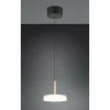 Celeste Suspension Luminaires Trio LED Brun, 1 lumière
