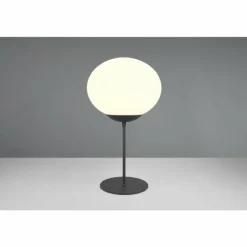 Fomento Lampe à poser Luminaires Trio Noir, 1 lumière