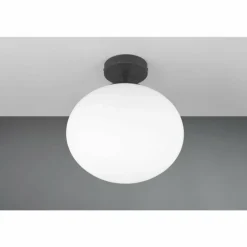 Fomento Plafonnier Luminaires Trio Noir, 1 lumière