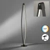 Lampadaire Fischer & Honsel Fenga LED Noir, 1 lumière