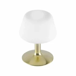 Lampe à poser Paul Neuhaus TILL LED Laiton, 1 lumière