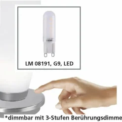 Lampe à poser Paul Neuhaus TYRA LED Acier inoxydable, 1 lumière