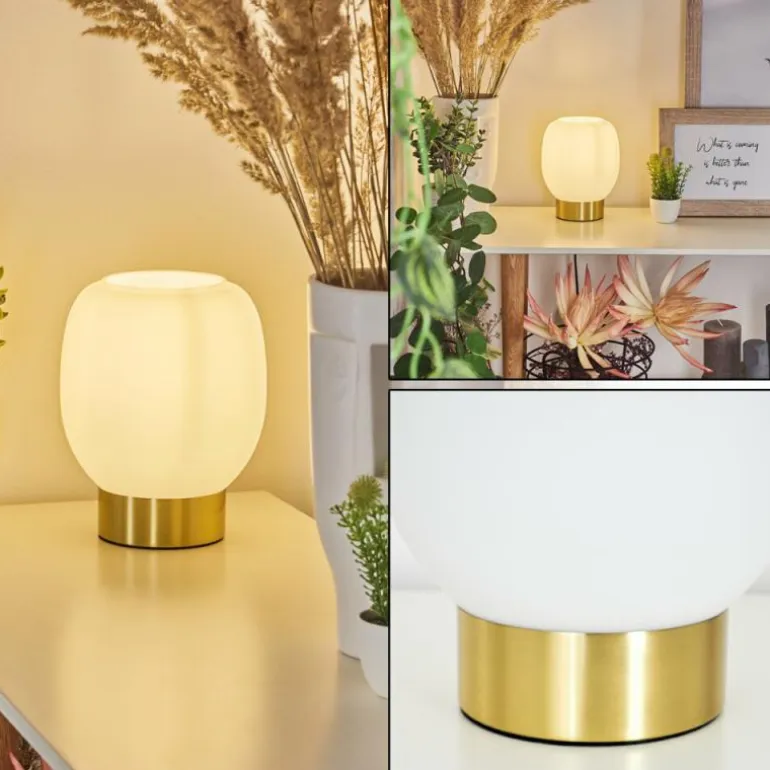 Lampe de table Pintacura Laiton, 1 lumière