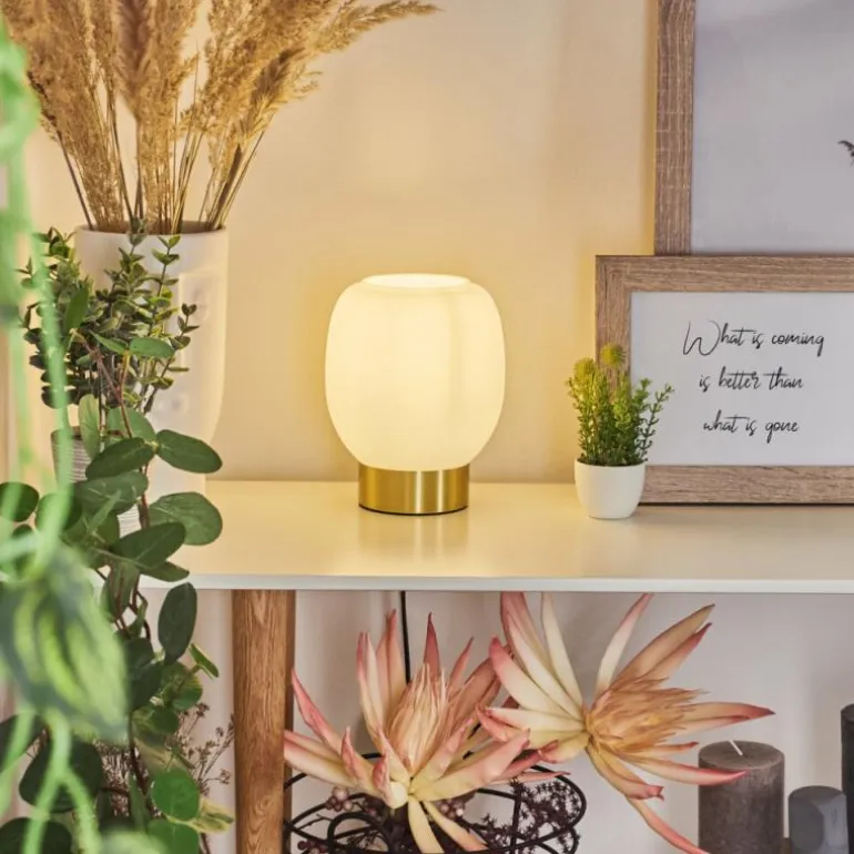 Lampe de table Pintacura Laiton, 1 lumière
