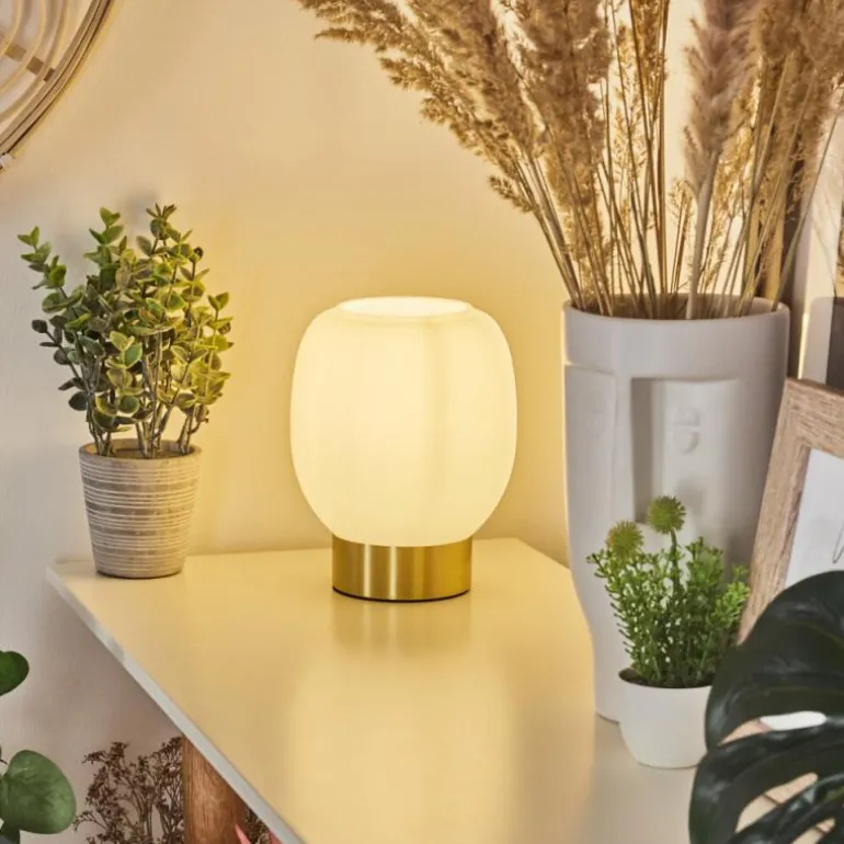 Lampe de table Pintacura Laiton, 1 lumière