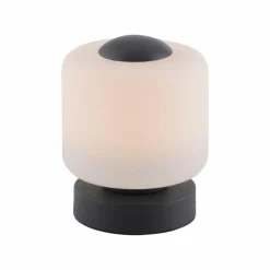 Lampe de table Paul Neuhaus BOTA LED Anthracite, 1 lumière