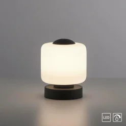 Lampe de table Paul Neuhaus BOTA LED Anthracite, 1 lumière