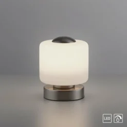 Lampe de table Paul Neuhaus BOTA LED Acier brossé, 1 lumière