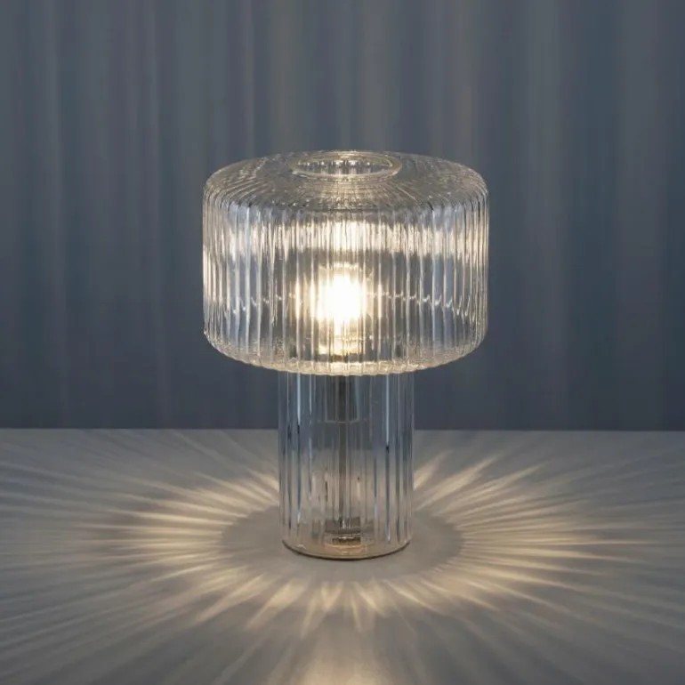 Lampe de table Paul Neuhaus FUNGUS Transparent, 1 lumière