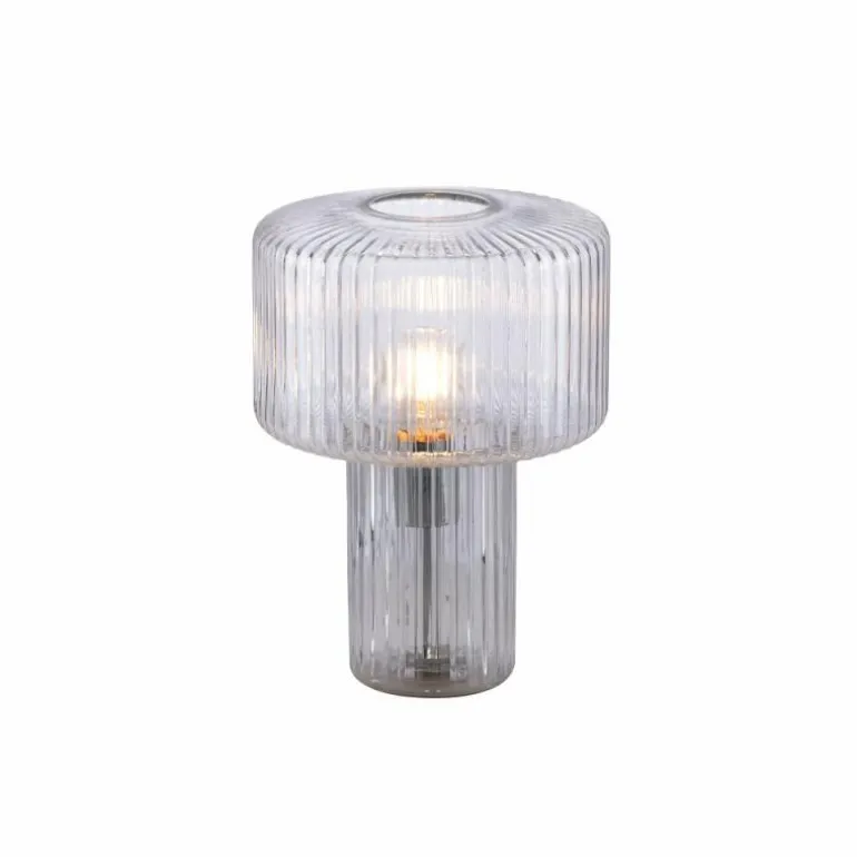 Lampe de table Paul Neuhaus FUNGUS Transparent, 1 lumière