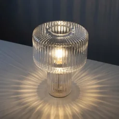 Lampe de table Paul Neuhaus FUNGUS Transparent, 1 lumière