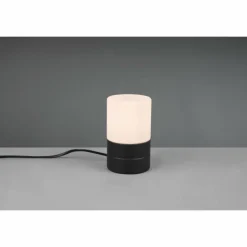 Lampe de table Trio Ary 2 Noir, 1 lumière