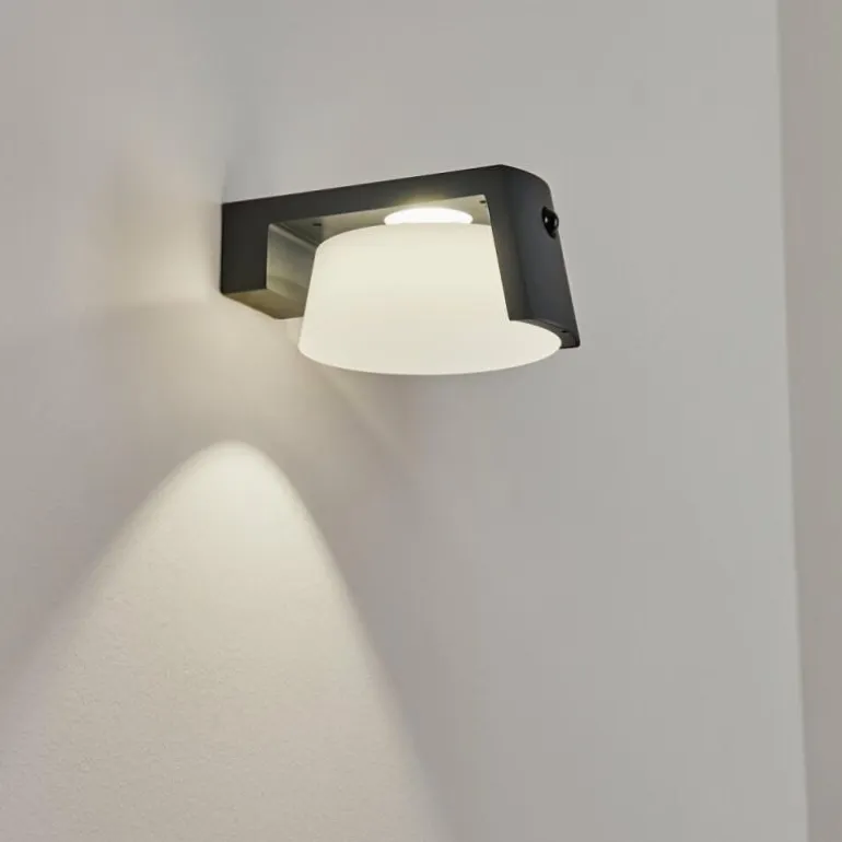 Lampe solaires Lafite LED Anthracite, 1 lumière, Détecteur de mouvement