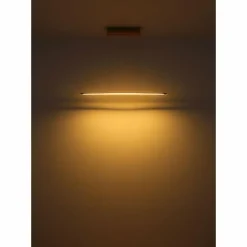 Muriella Suspension Luminaires Globo Lighting LED Laiton, 1 lumière