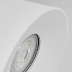 Plafonnier Especiosa Blanc, 1 lumière