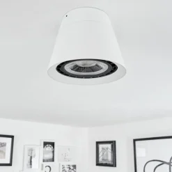 Plafonnier Especiosa Blanc, 1 lumière