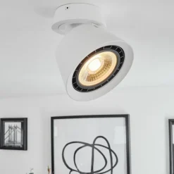 Plafonnier Especiosa Blanc, 1 lumière