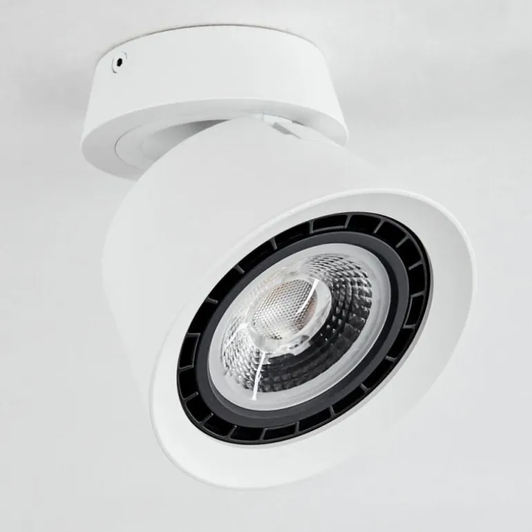 Plafonnier Especiosa Blanc, 1 lumière