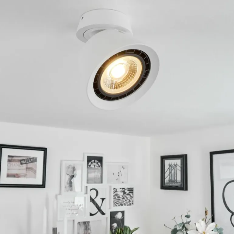 Plafonnier Especiosa Blanc, 1 lumière