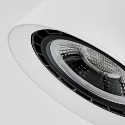 Plafonnier Especiosa Blanc, 2 lumières