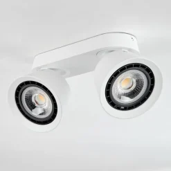 Plafonnier Especiosa Blanc, 2 lumières