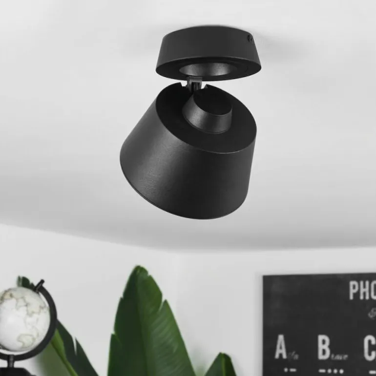 Plafonnier Especiosa Noir, 1 lumière