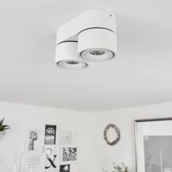 Plafonnier Laonsana LED Noir, Blanc, 2 lumières