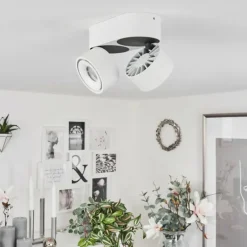 Plafonnier Laonsana LED Noir, Blanc, 2 lumières