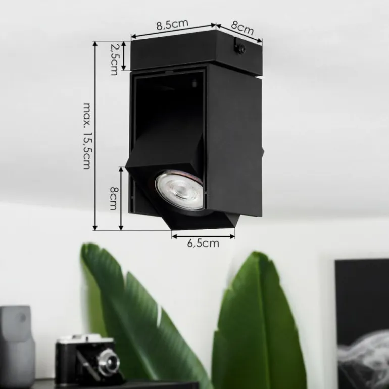 Plafonnier Prassinet Noir, 1 lumière