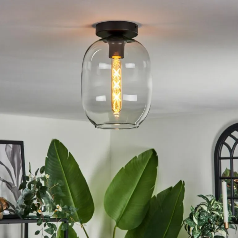 Plafonnier - Verre Apedo Clair, 1 lumière