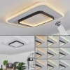 Plafonnier Andelfingen LED Blanc, 1 lumière, Télécommandes