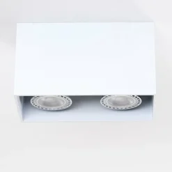 Plafonnier Awuna Blanc, 2 lumières