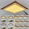 Plafonnier Blandford LED Brun, Couleur bois, 2 lumières, Télécommandes