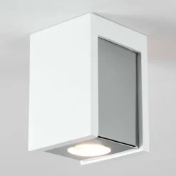 Plafonnier Braslo Chrome, Blanc, 1 lumière